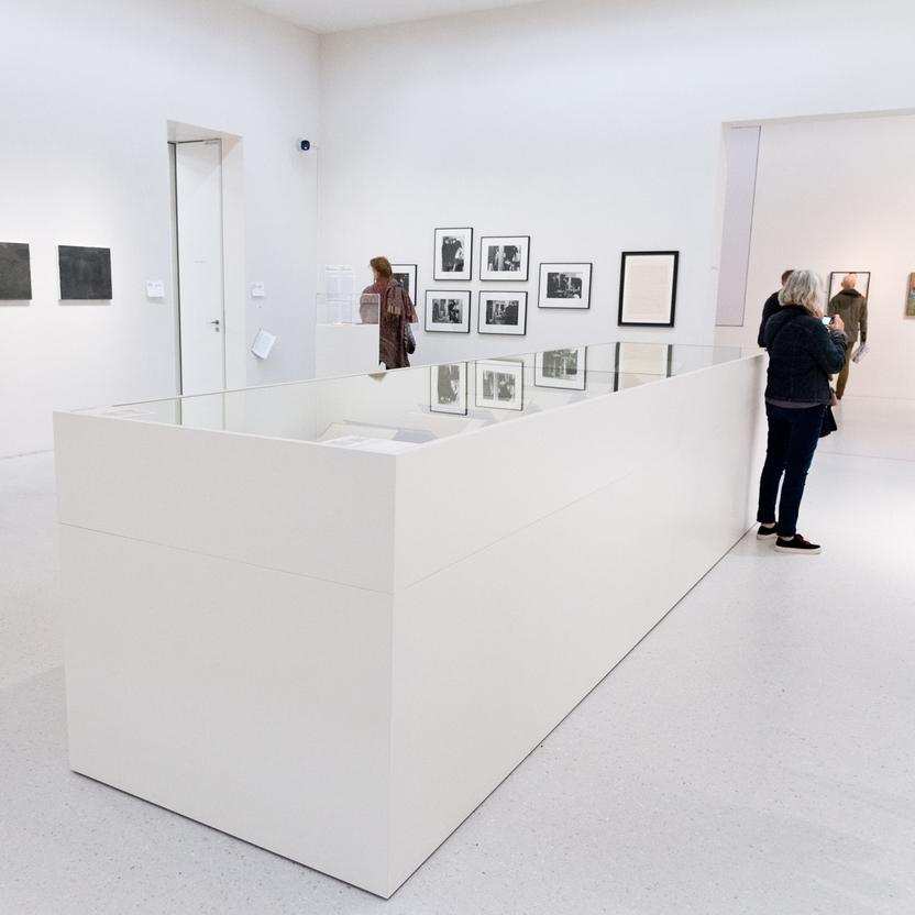 Galeriebesucher neben modernen Vitrinen Besucher betrachten Kunst in einer modernen Galerie, umgeben von einem eleganten Vitrinenbau, der Fotografien und Texte präsentiert.